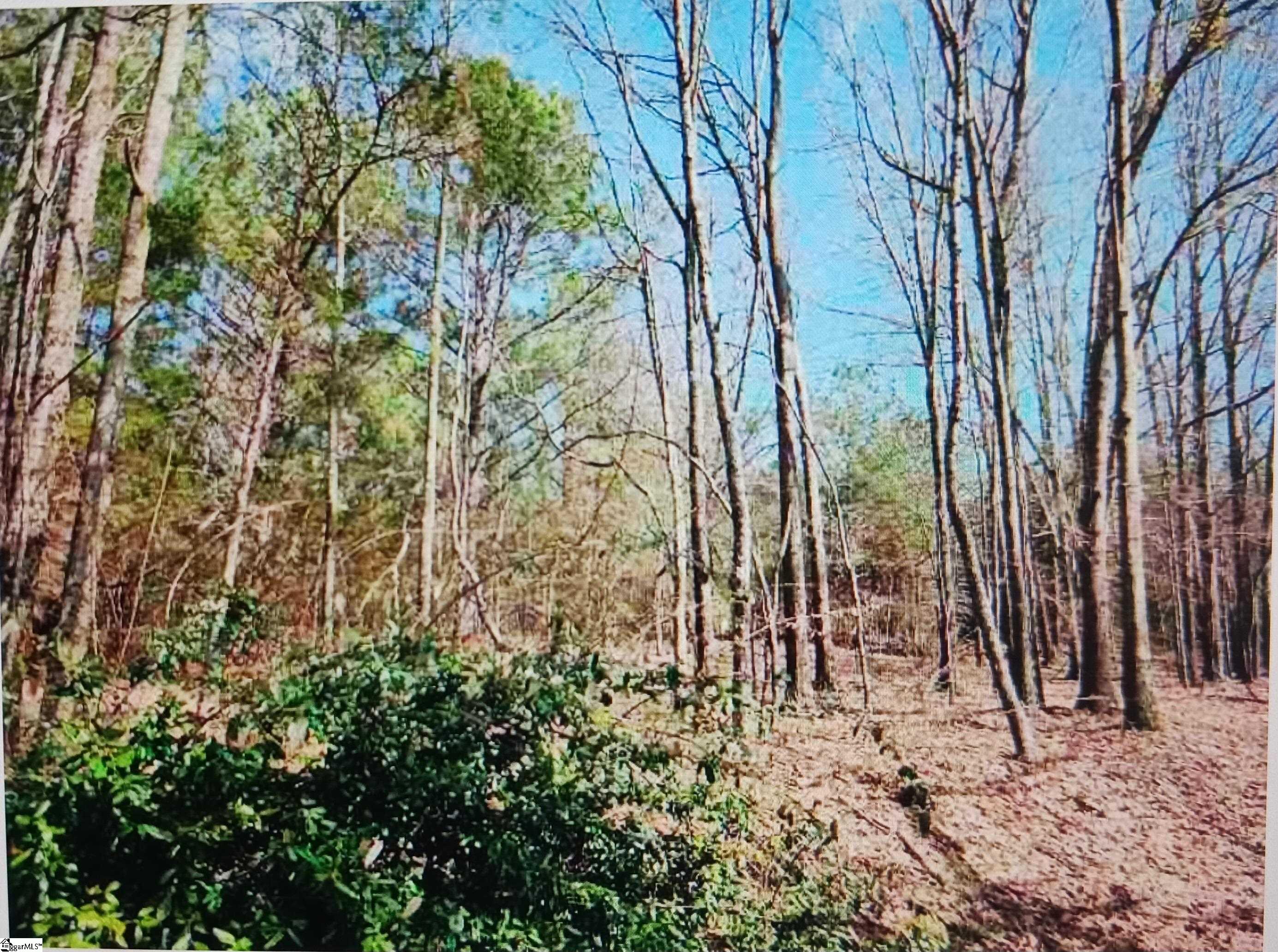 0 Augusta Road Pelzer, SC 29669 - Photo 2 of 3