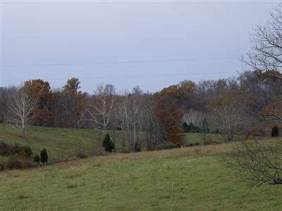 552 Robinson Road Cynthiana, KY 41031 - Photo 12 of 16 Photo 12