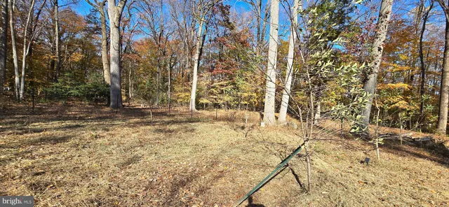 a view of empty room with tree s