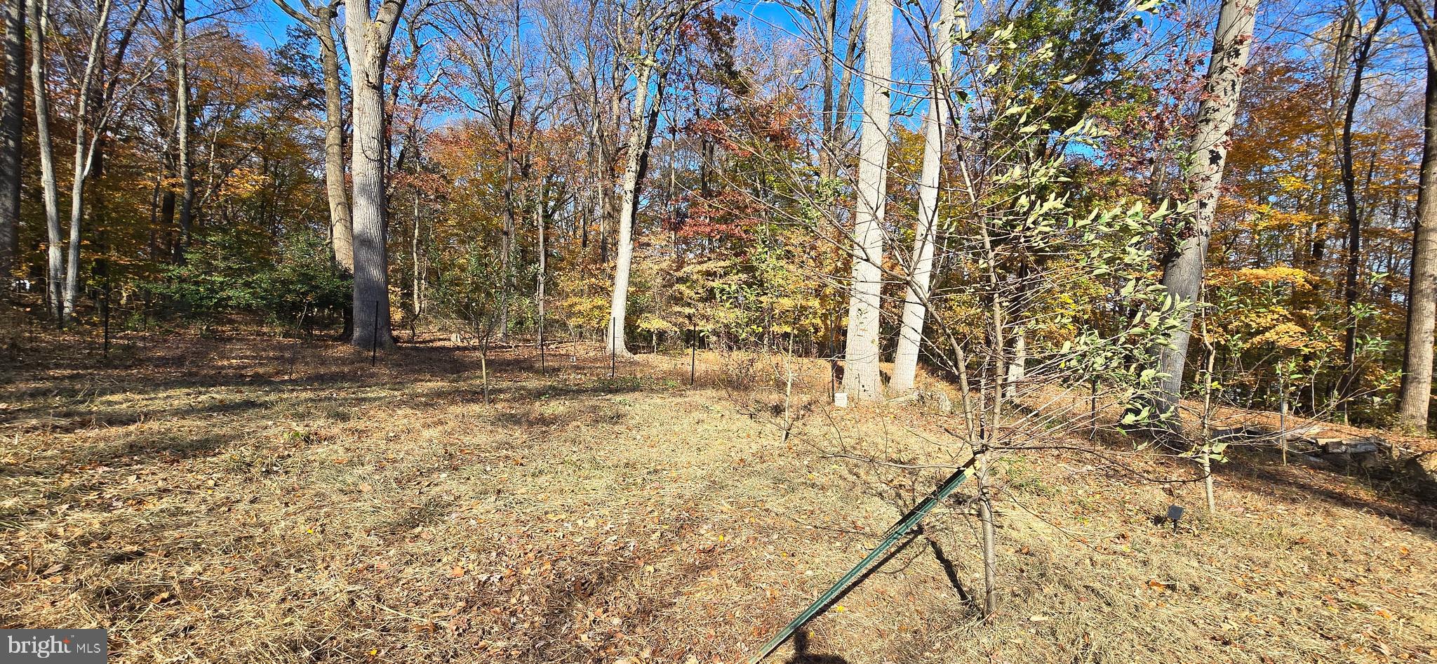 7613 Locust Lane Fort Washington, MD 20744 - Photo 9 of 49 a view of empty room with tree s
