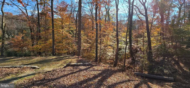 a view of backyard with green space