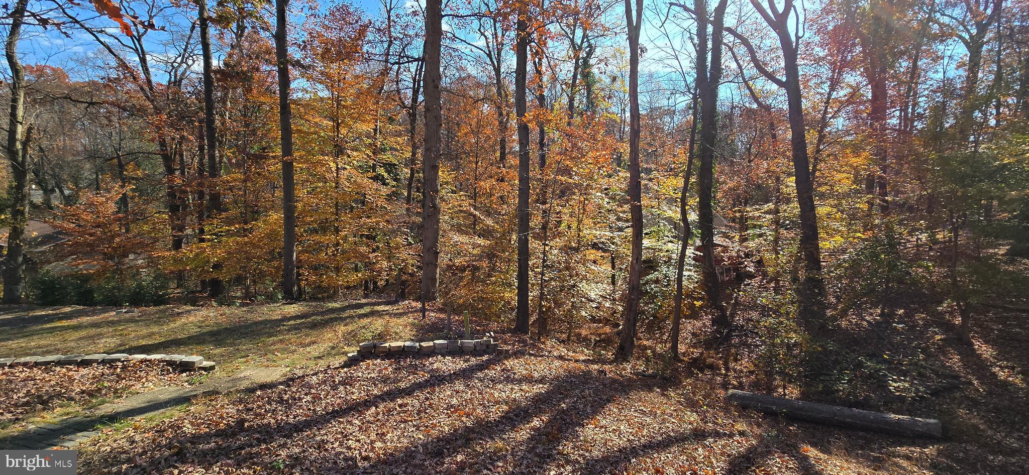 7613 Locust Lane Fort Washington, MD 20744 - Photo 10 of 49 a view of backyard with green space