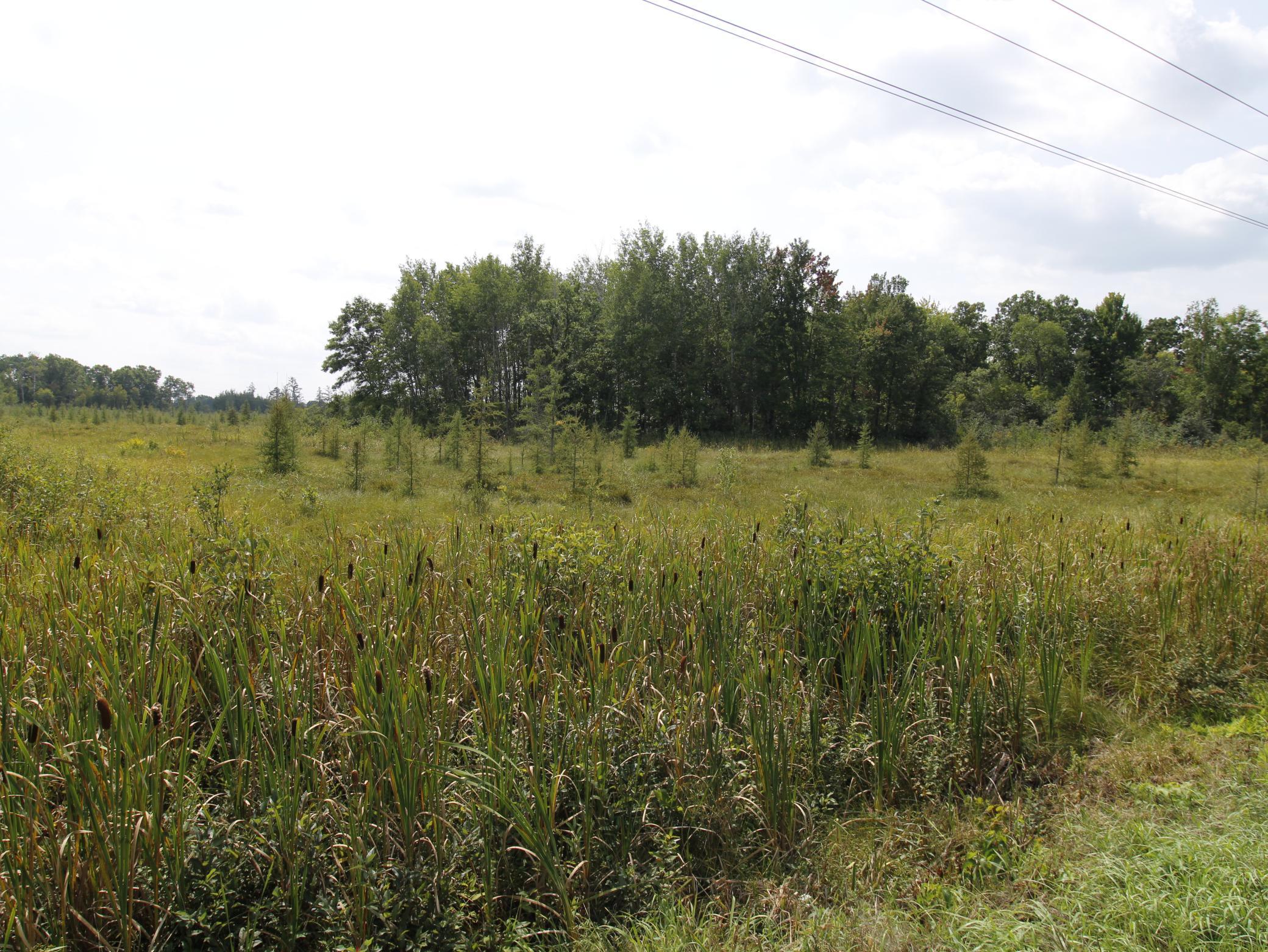 2208 Highway 70 Spooner, WI 54801 - Photo 25 of 39
