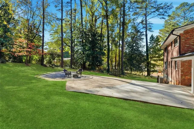 a view of a park with large trees