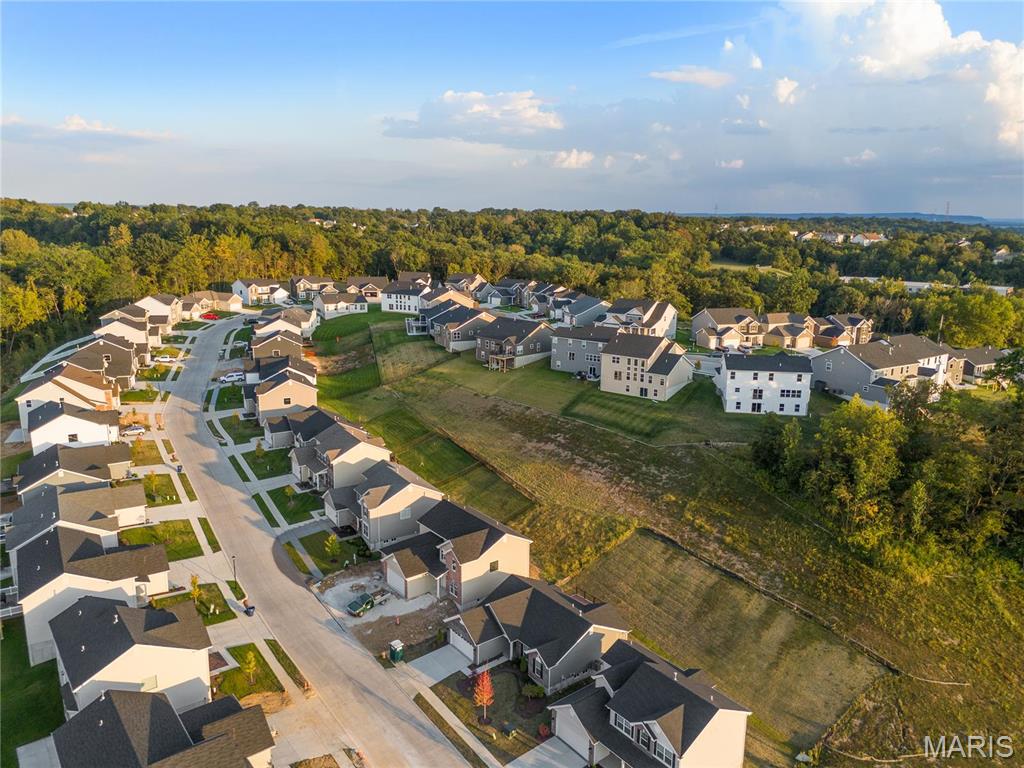 7405 Shadow Point Drive St. Louis, MO 63129 - Photo 39 of 42