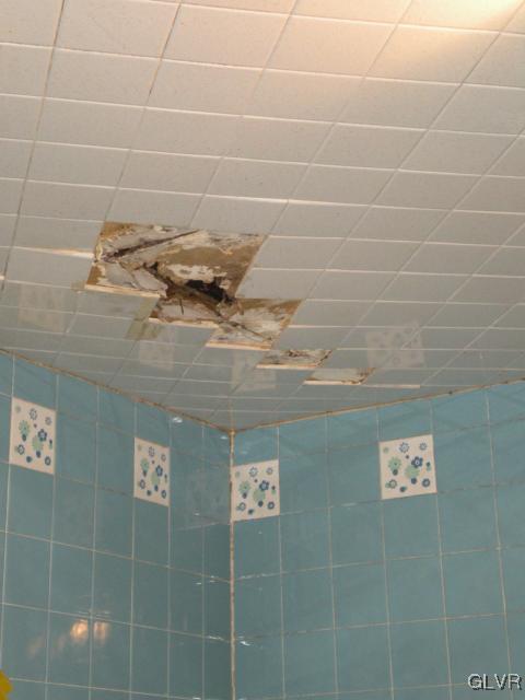 7493 Lazor Road Macungie, PA 18062 - Photo 9 of 13 Bathroom Ceiling Damage
