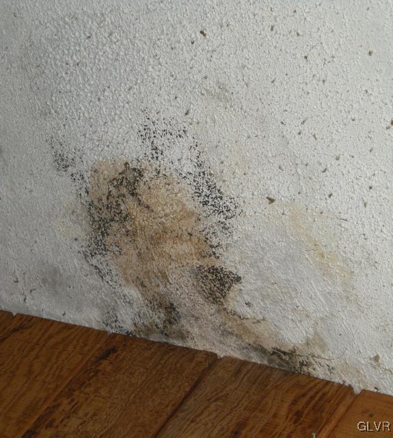 7493 Lazor Road Macungie, PA 18062 - Photo 10 of 13 Summer Porch Ceiling Damage