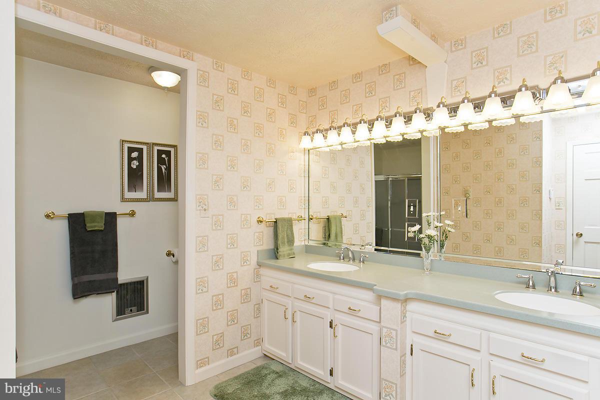 216 Hopewell Road Clear Brook, VA 22624 - Photo 17 of 29 Bath (Master)