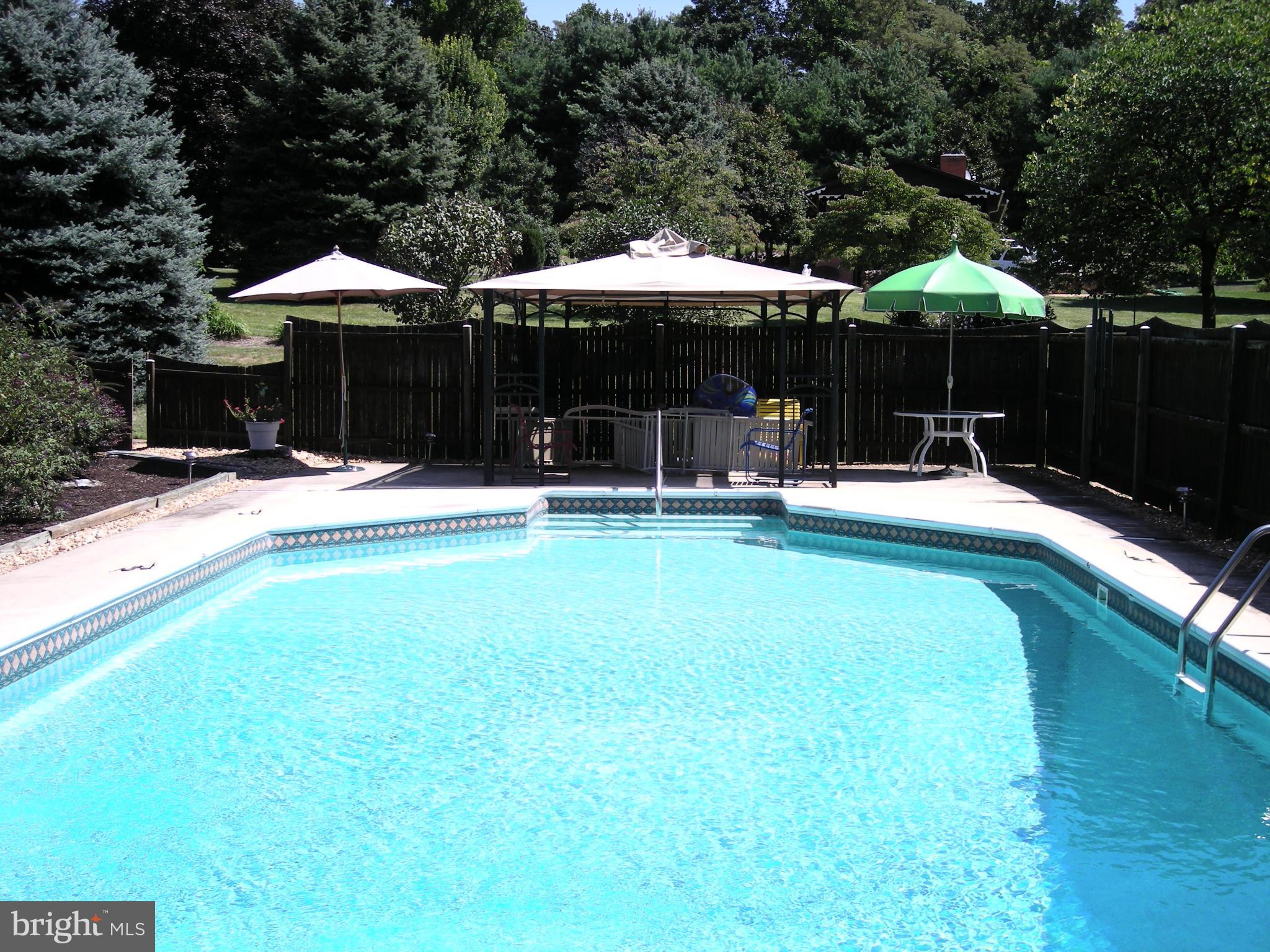 216 Hopewell Road Clear Brook, VA 22624 - Photo 24 of 29 In-ground pool