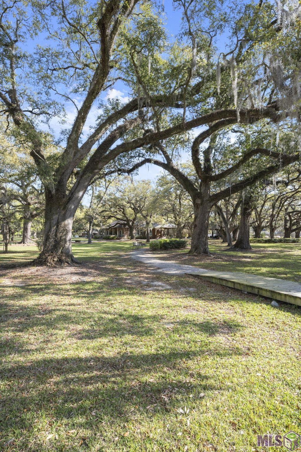 12696 Solemn Oaks Avenue Baton Rouge, LA 70818 - Photo 44 of 58