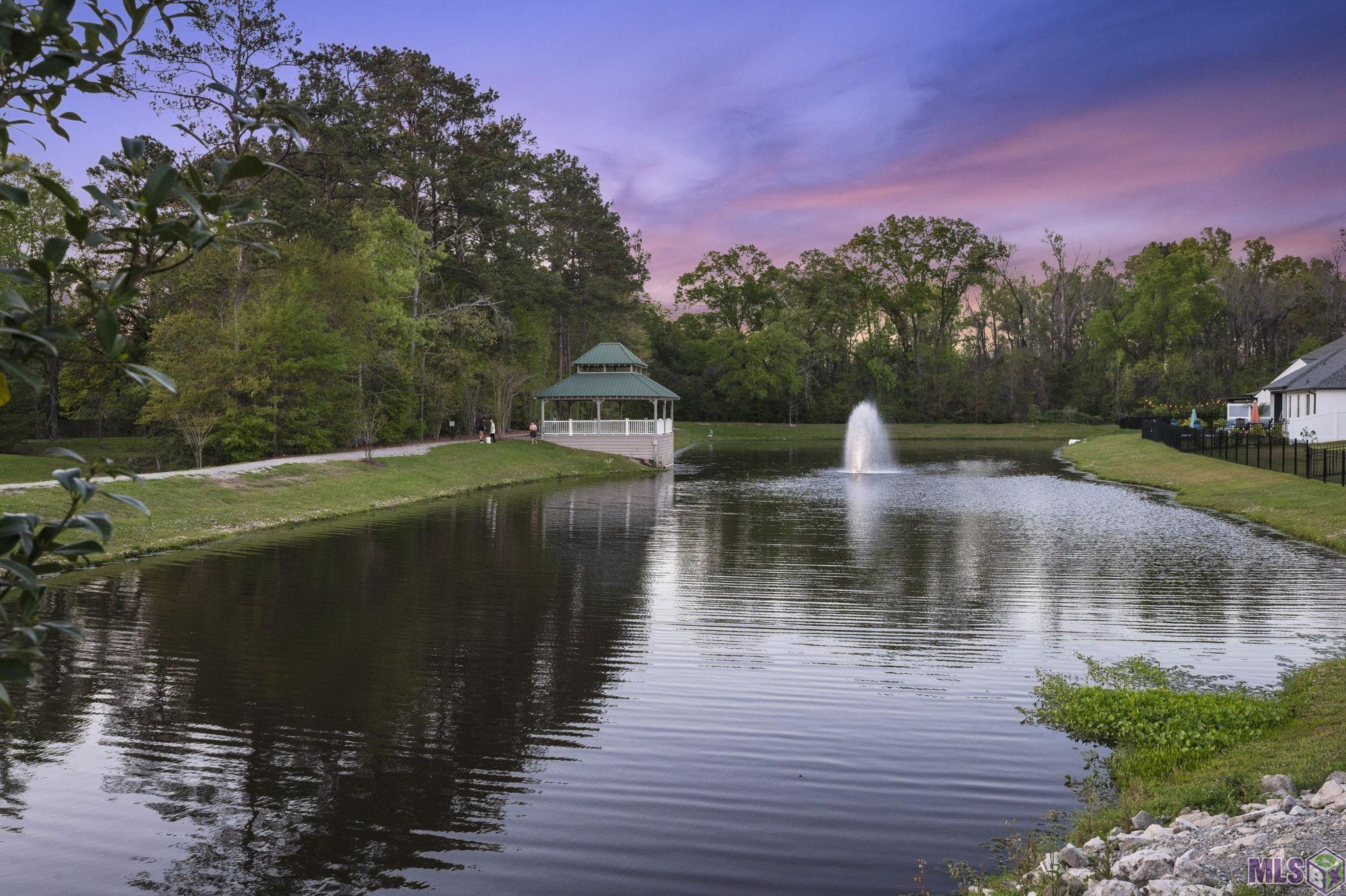 12696 Solemn Oaks Avenue Baton Rouge, LA 70818 - Photo 58 of 58