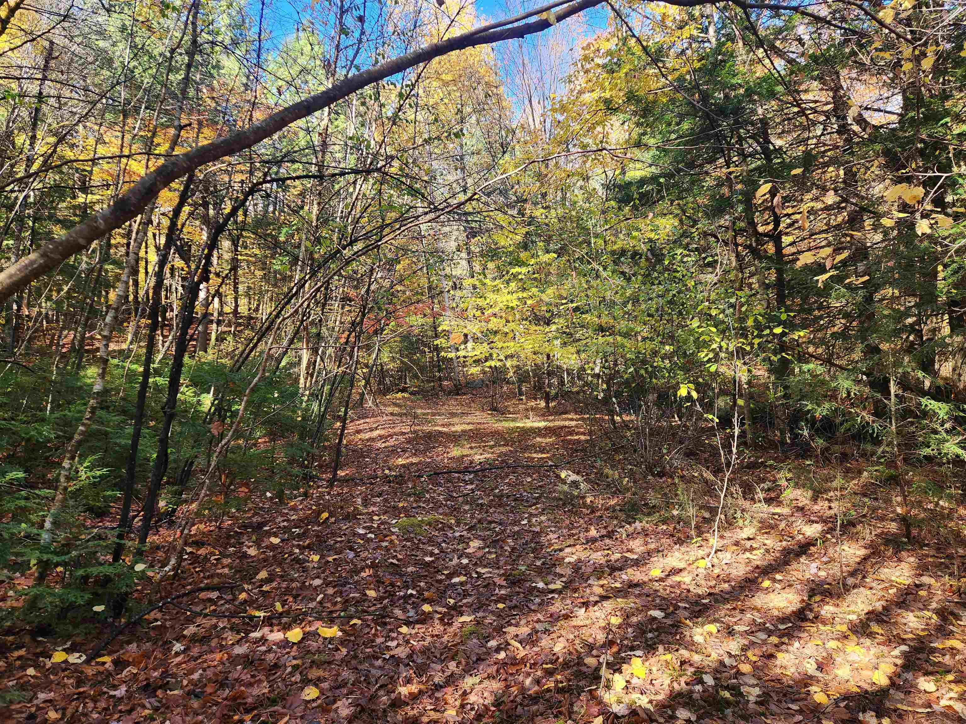 13 Calef Hill Road Tilton, NH 03276 - Photo 12 of 47