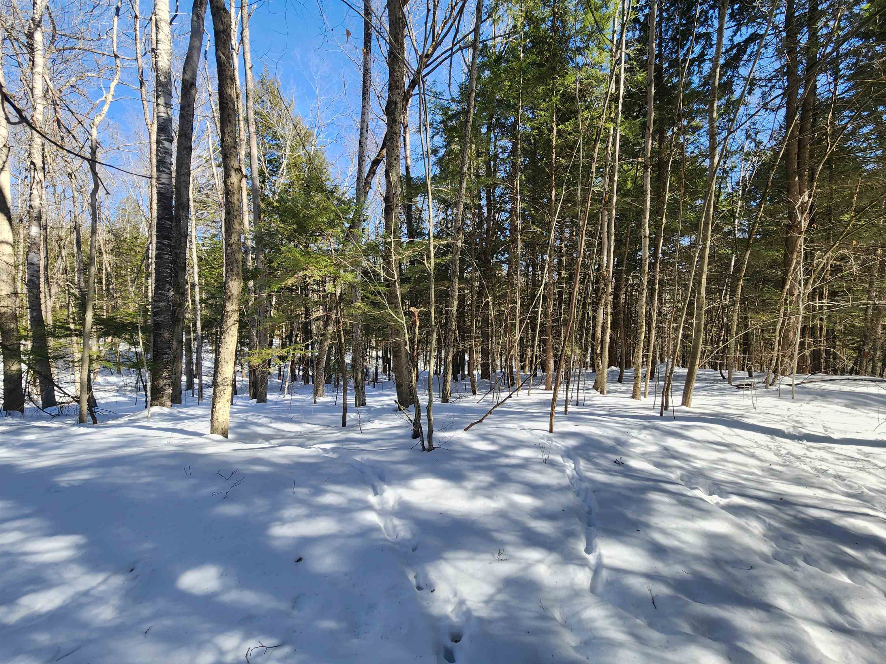 13 Calef Hill Road Tilton, NH 03276 - Photo 13 of 47
