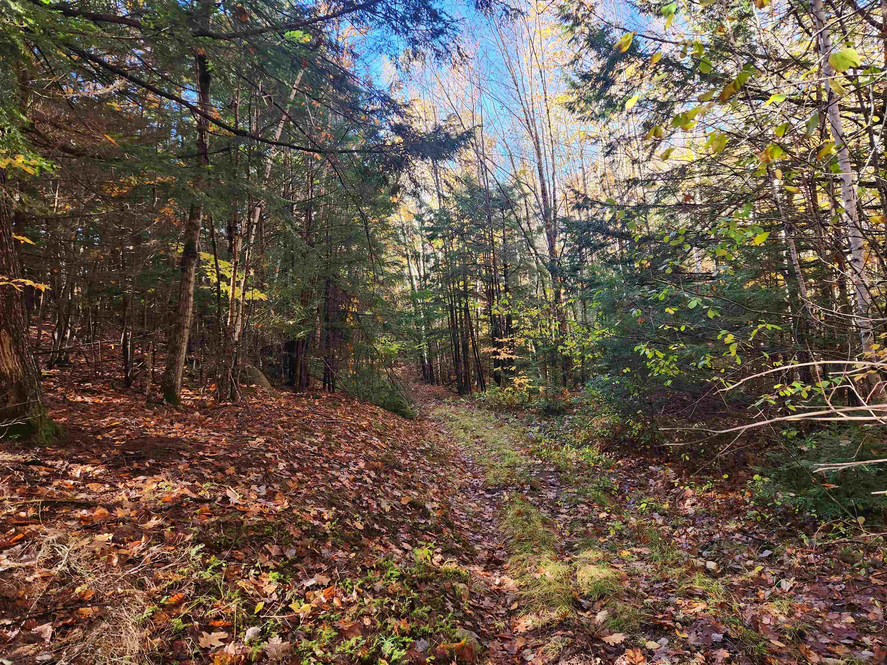 13 Calef Hill Road Tilton, NH 03276 - Photo 14 of 47