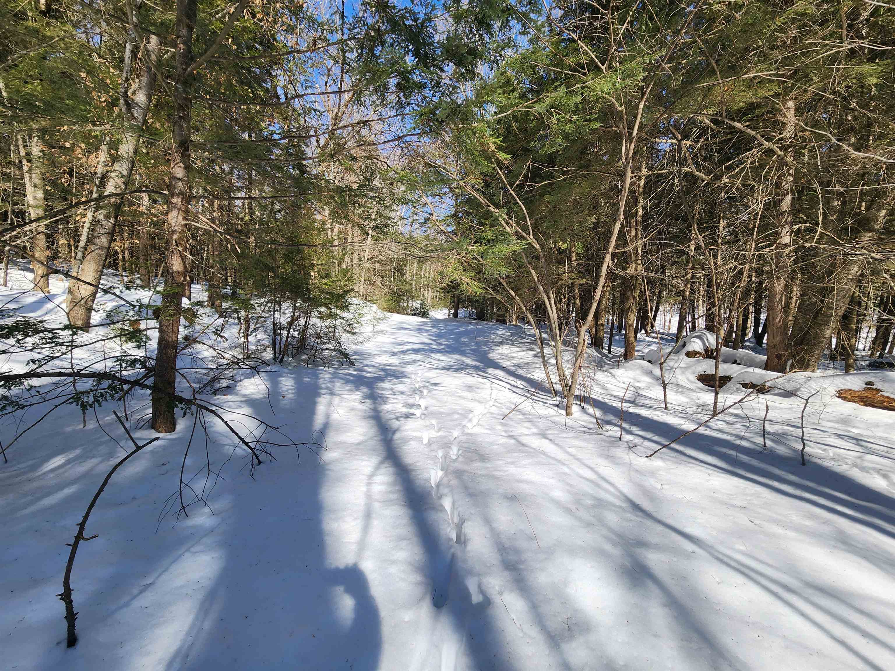 13 Calef Hill Road Tilton, NH 03276 - Photo 16 of 47