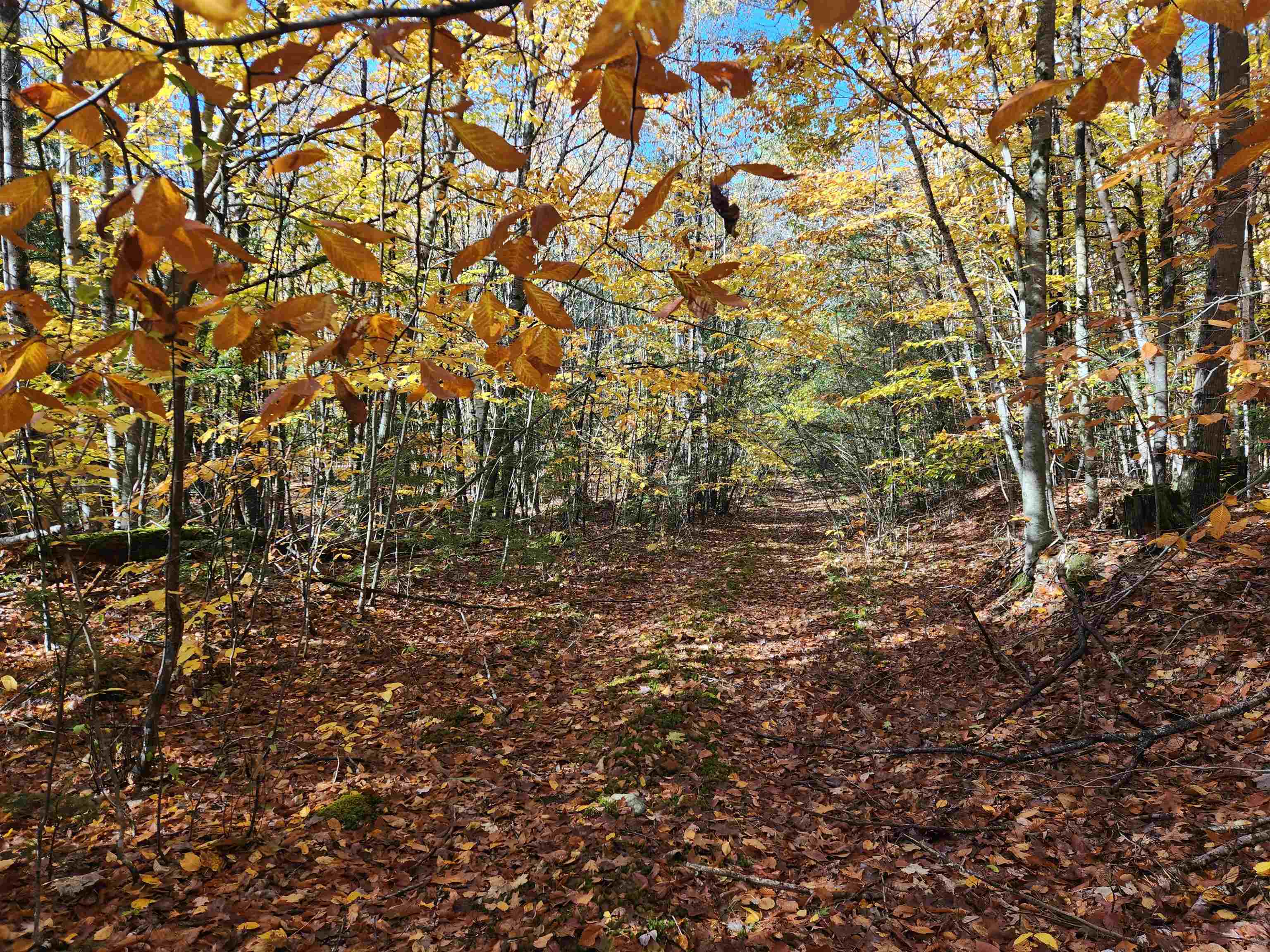 13 Calef Hill Road Tilton, NH 03276 - Photo 17 of 47