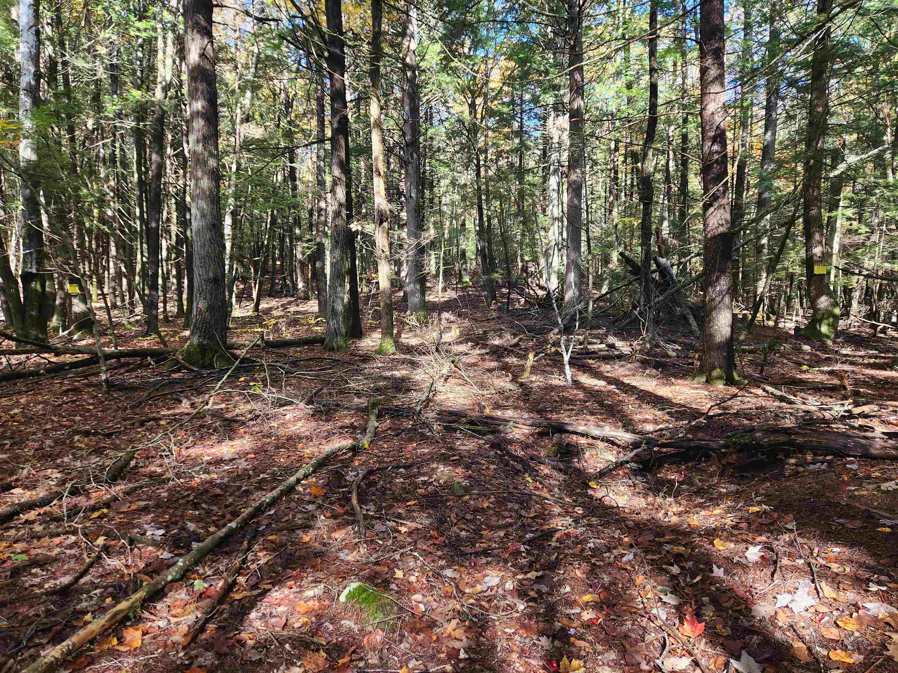 13 Calef Hill Road Tilton, NH 03276 - Photo 19 of 47