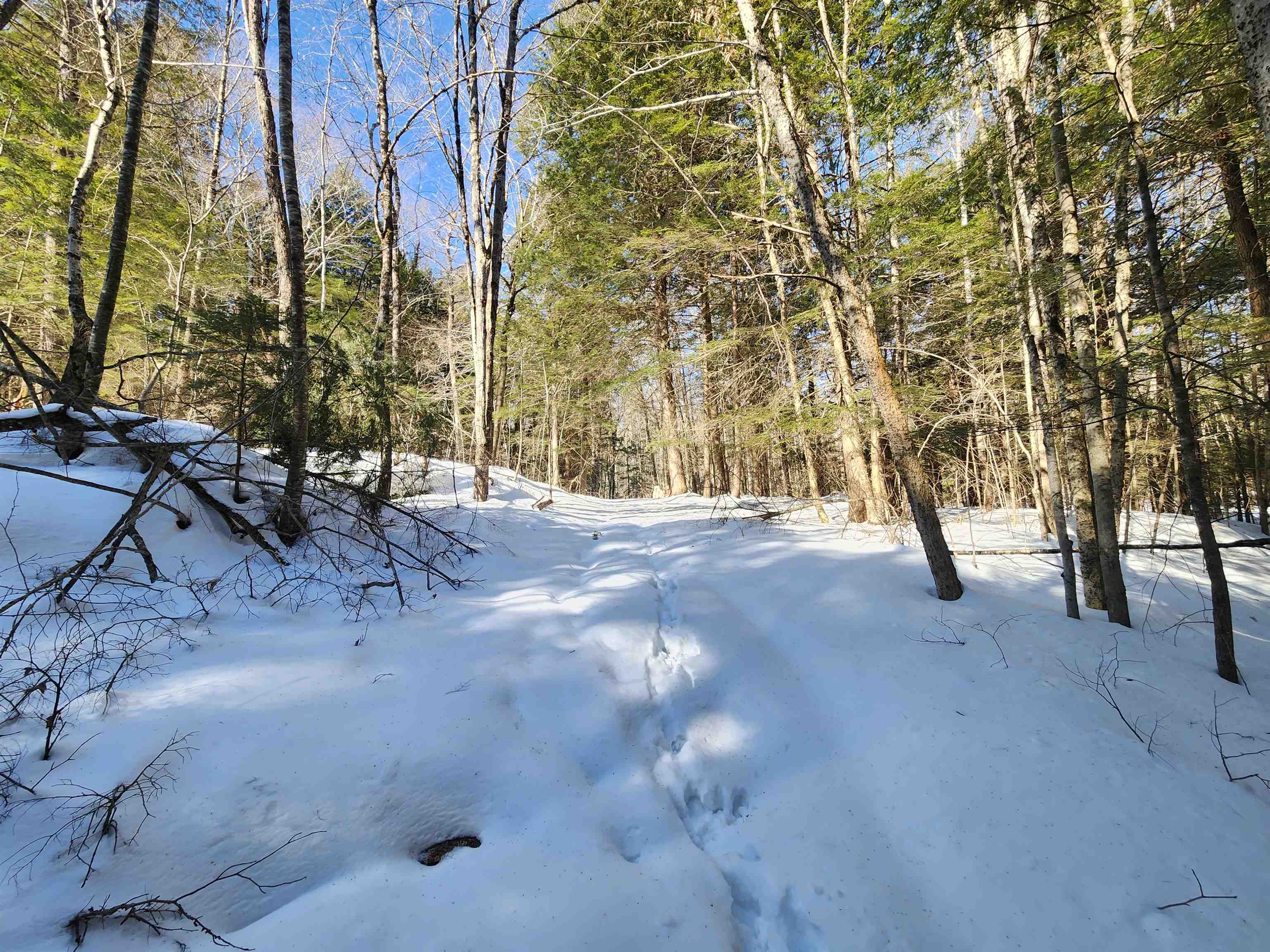 13 Calef Hill Road Tilton, NH 03276 - Photo 20 of 47