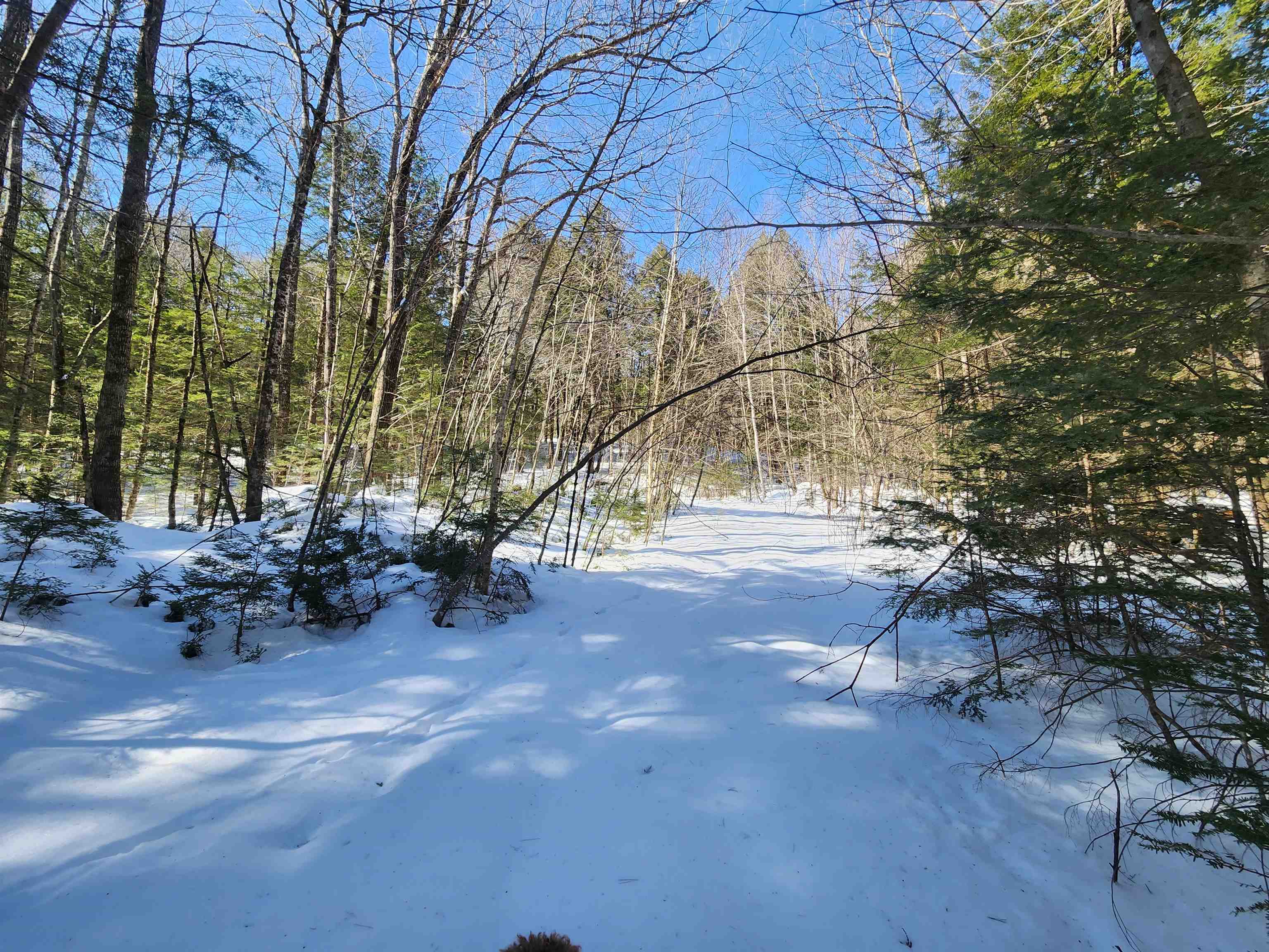 13 Calef Hill Road Tilton, NH 03276 - Photo 2 of 47