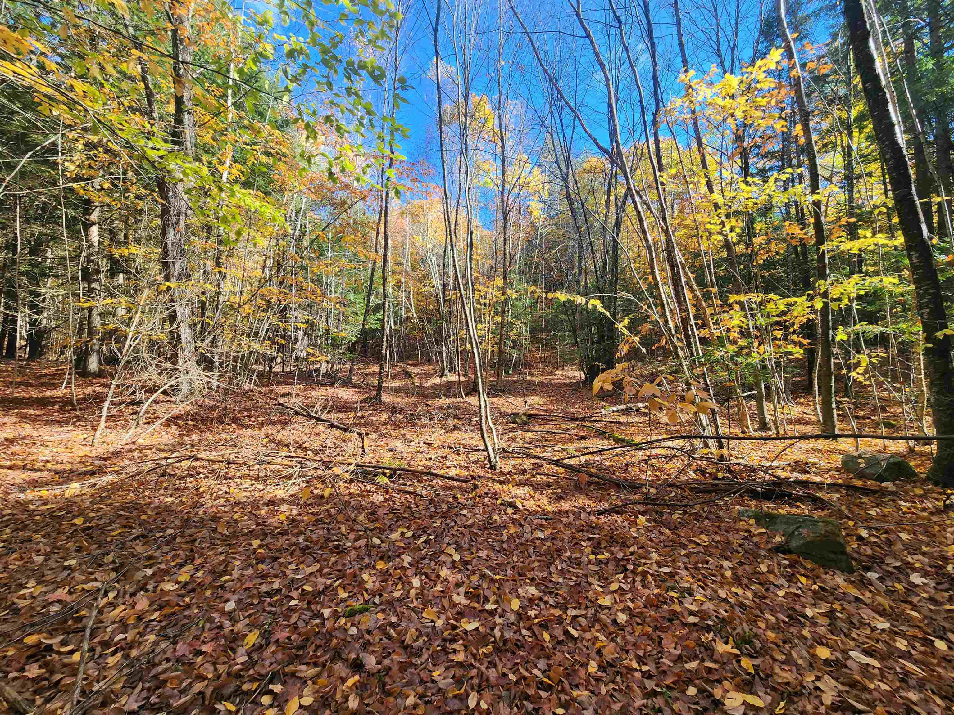 13 Calef Hill Road Tilton, NH 03276 - Photo 21 of 47