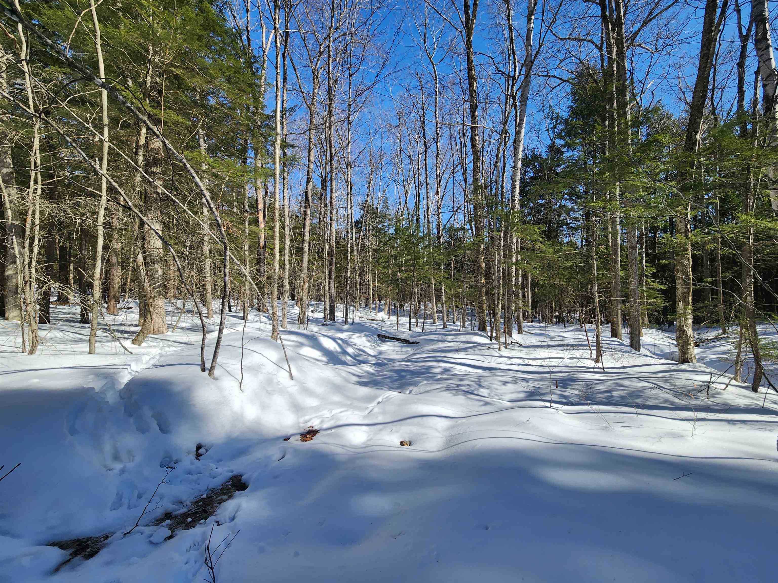 13 Calef Hill Road Tilton, NH 03276 - Photo 27 of 47
