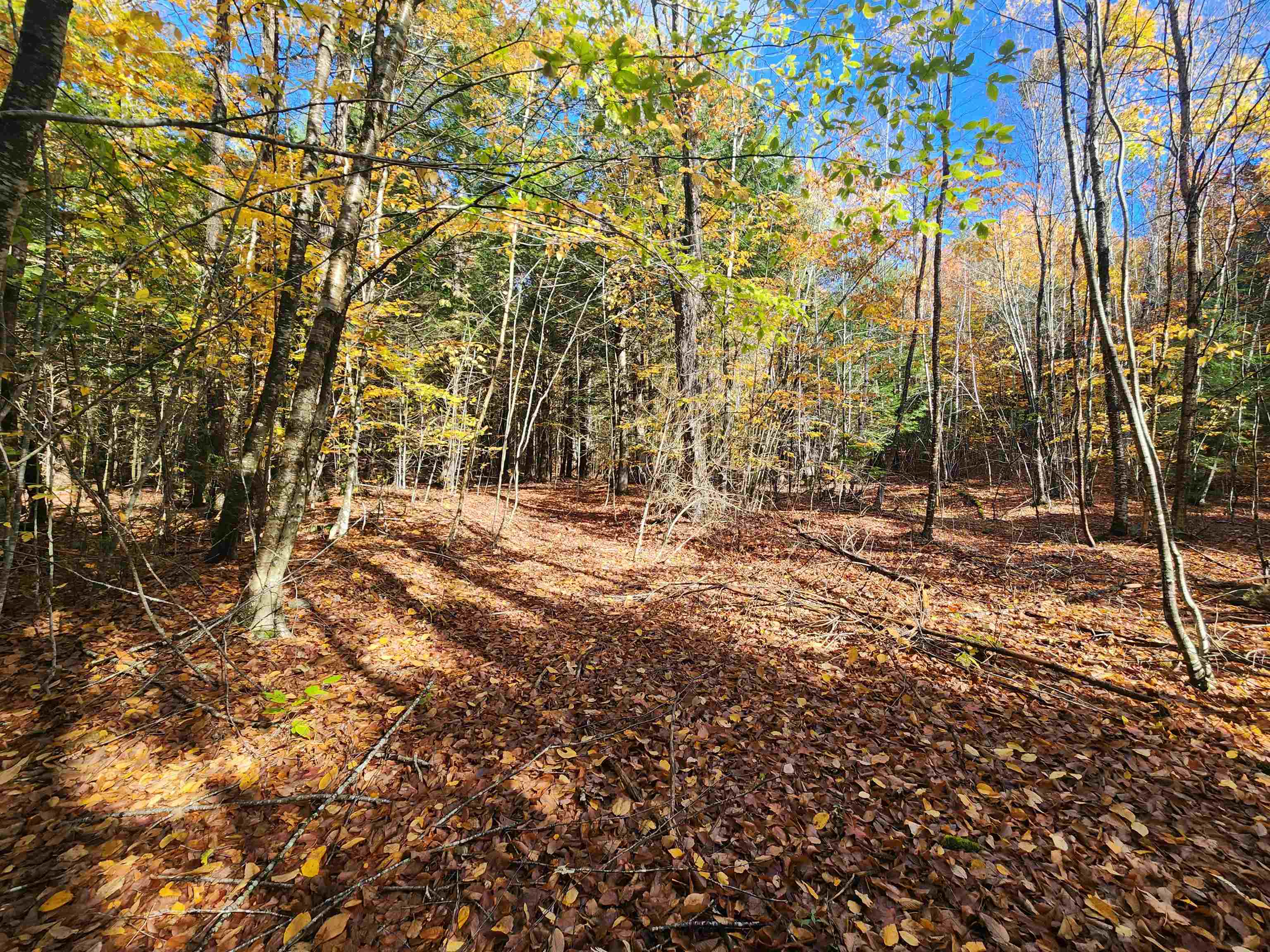 13 Calef Hill Road Tilton, NH 03276 - Photo 3 of 47