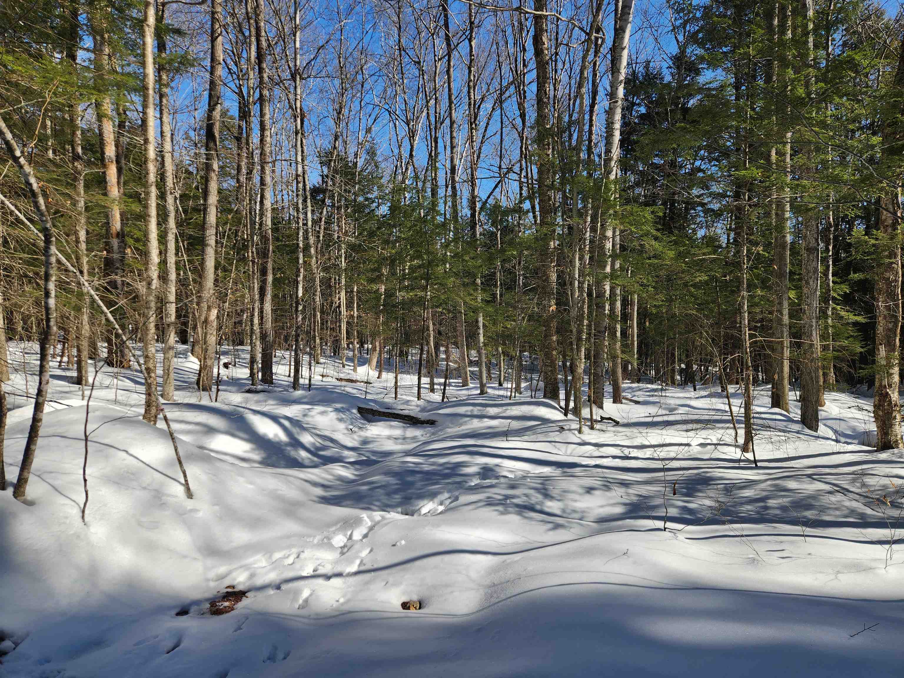 13 Calef Hill Road Tilton, NH 03276 - Photo 33 of 47