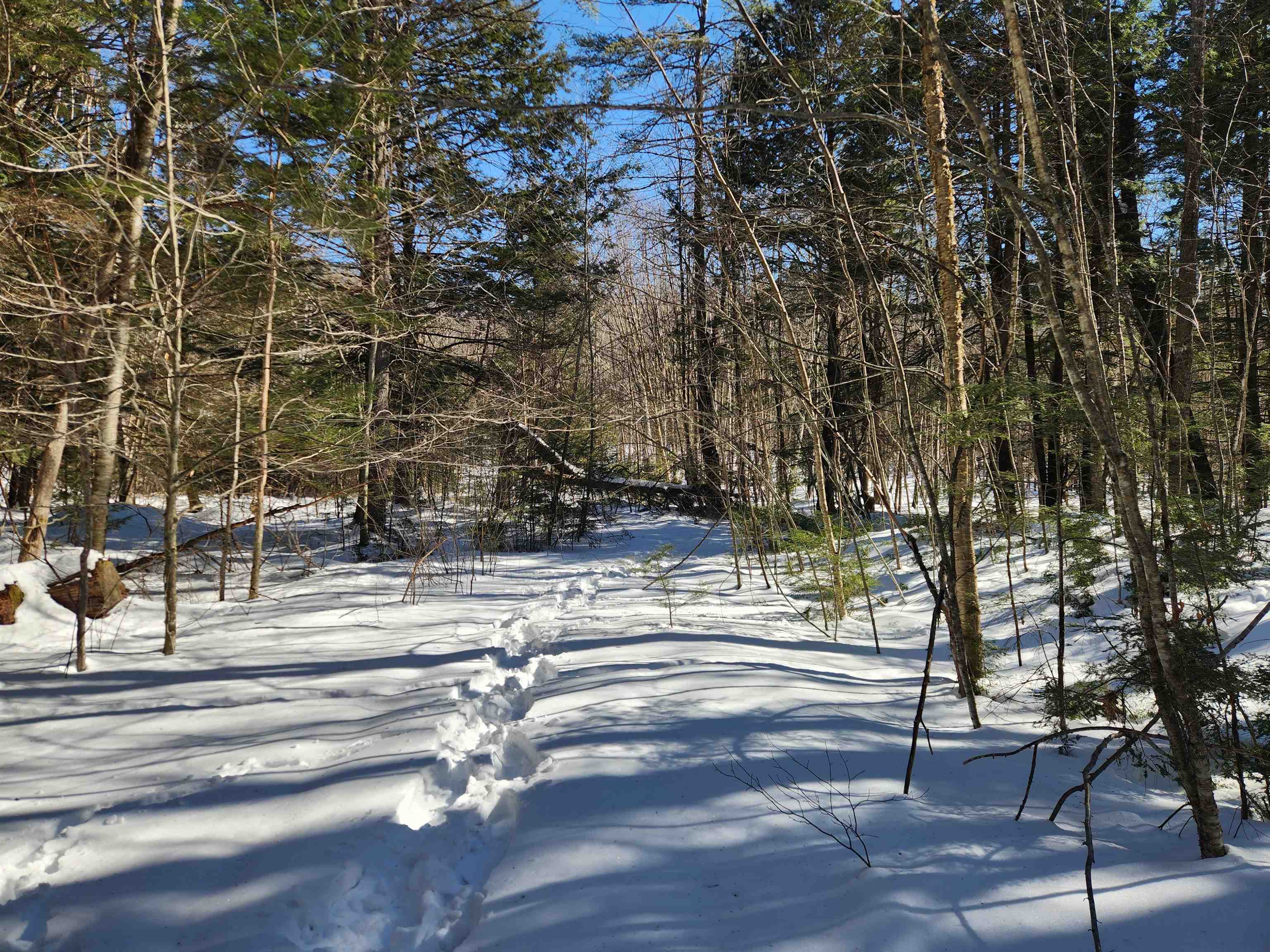13 Calef Hill Road Tilton, NH 03276 - Photo 35 of 47