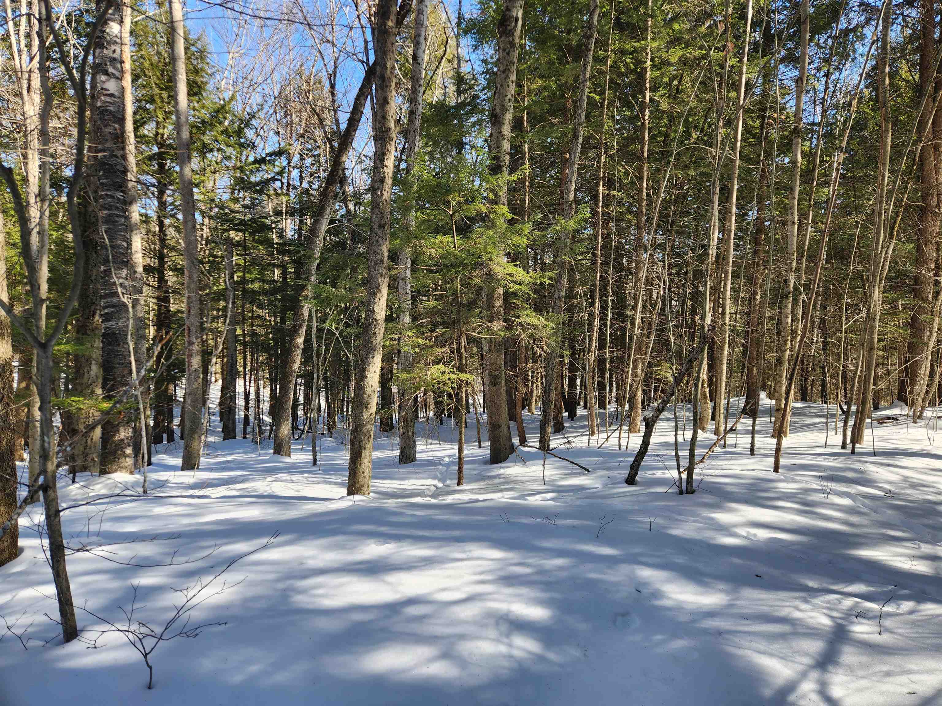 13 Calef Hill Road Tilton, NH 03276 - Photo 38 of 47