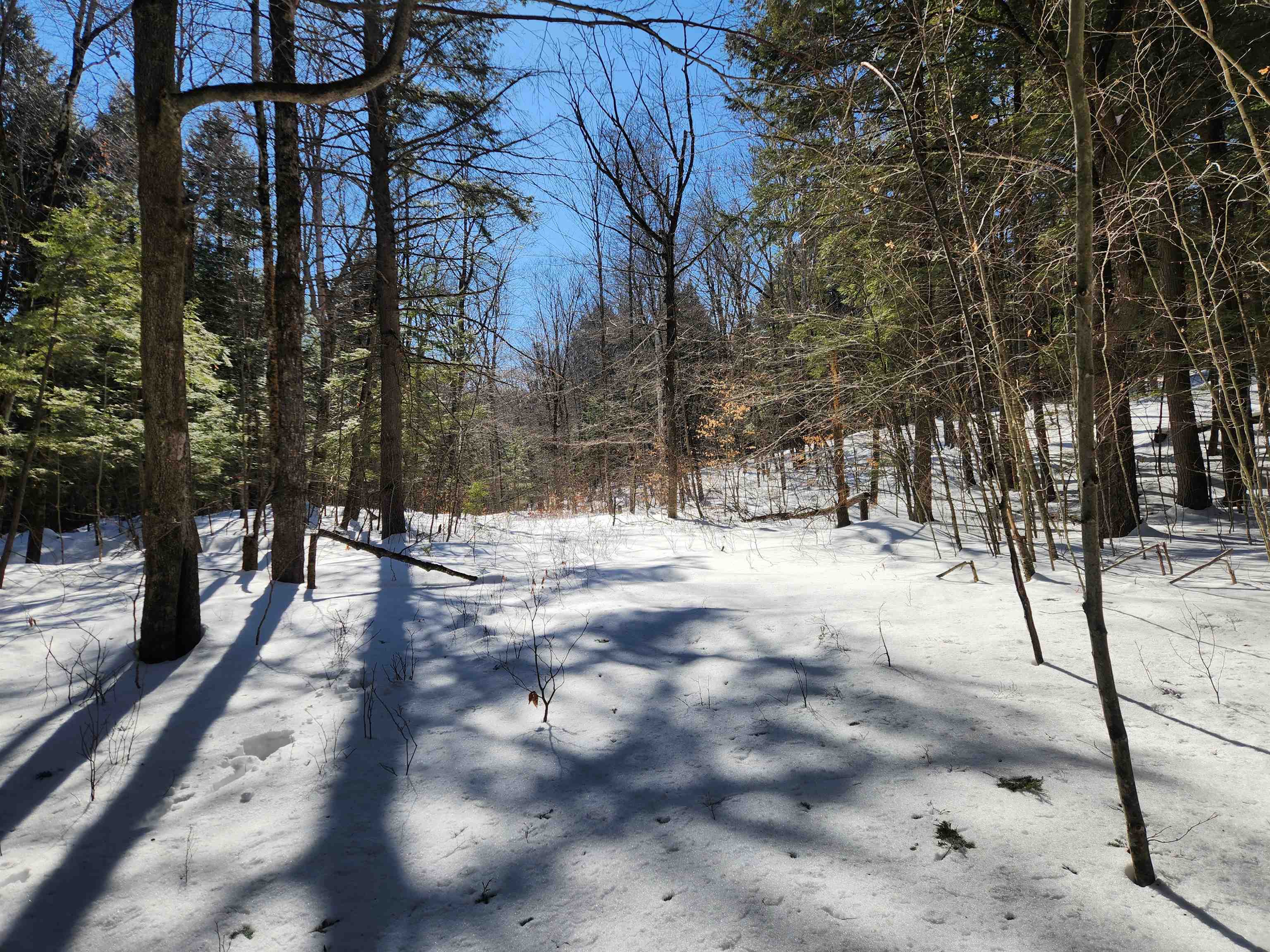 13 Calef Hill Road Tilton, NH 03276 - Photo 40 of 47