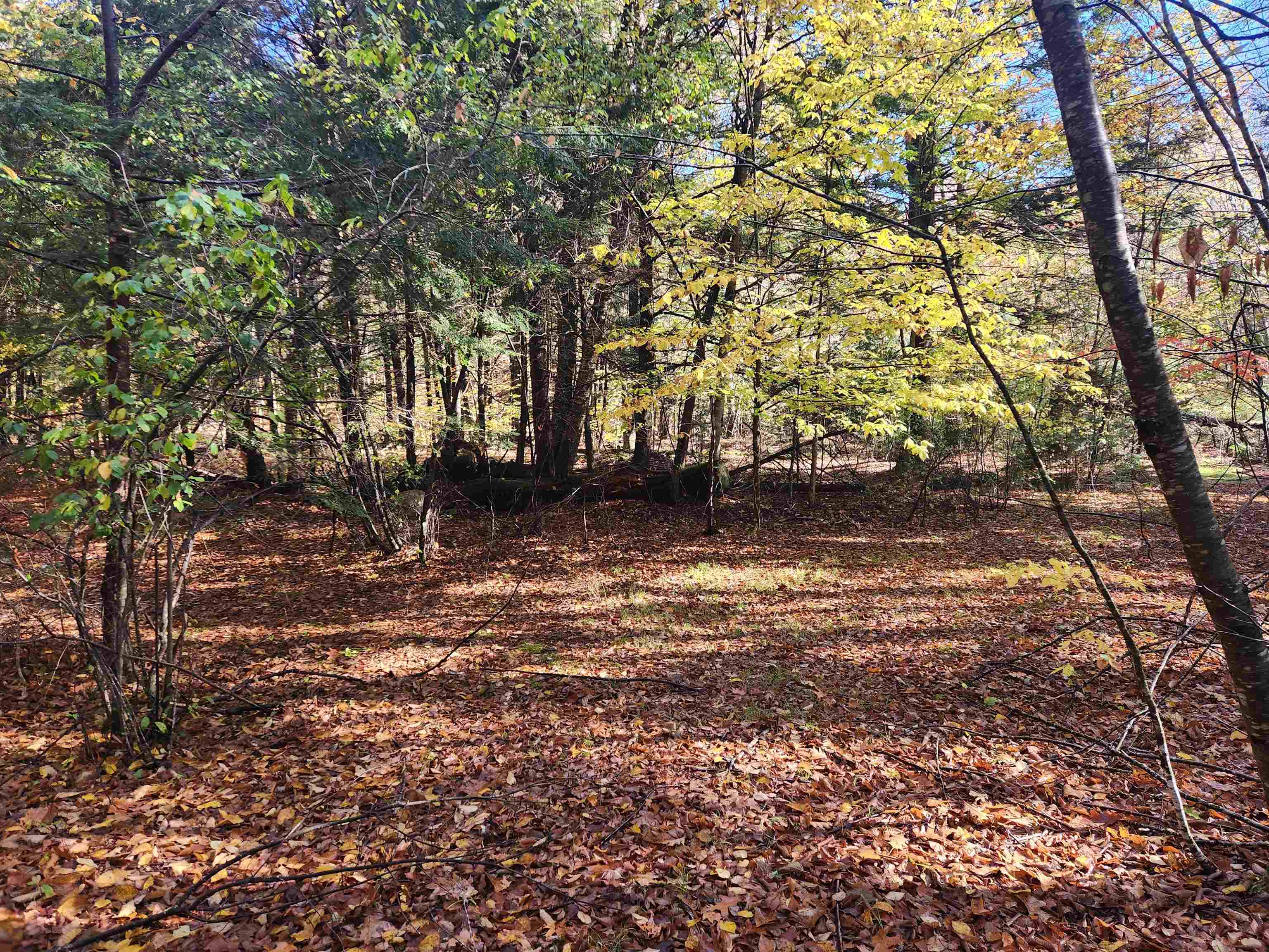 13 Calef Hill Road Tilton, NH 03276 - Photo 5 of 47