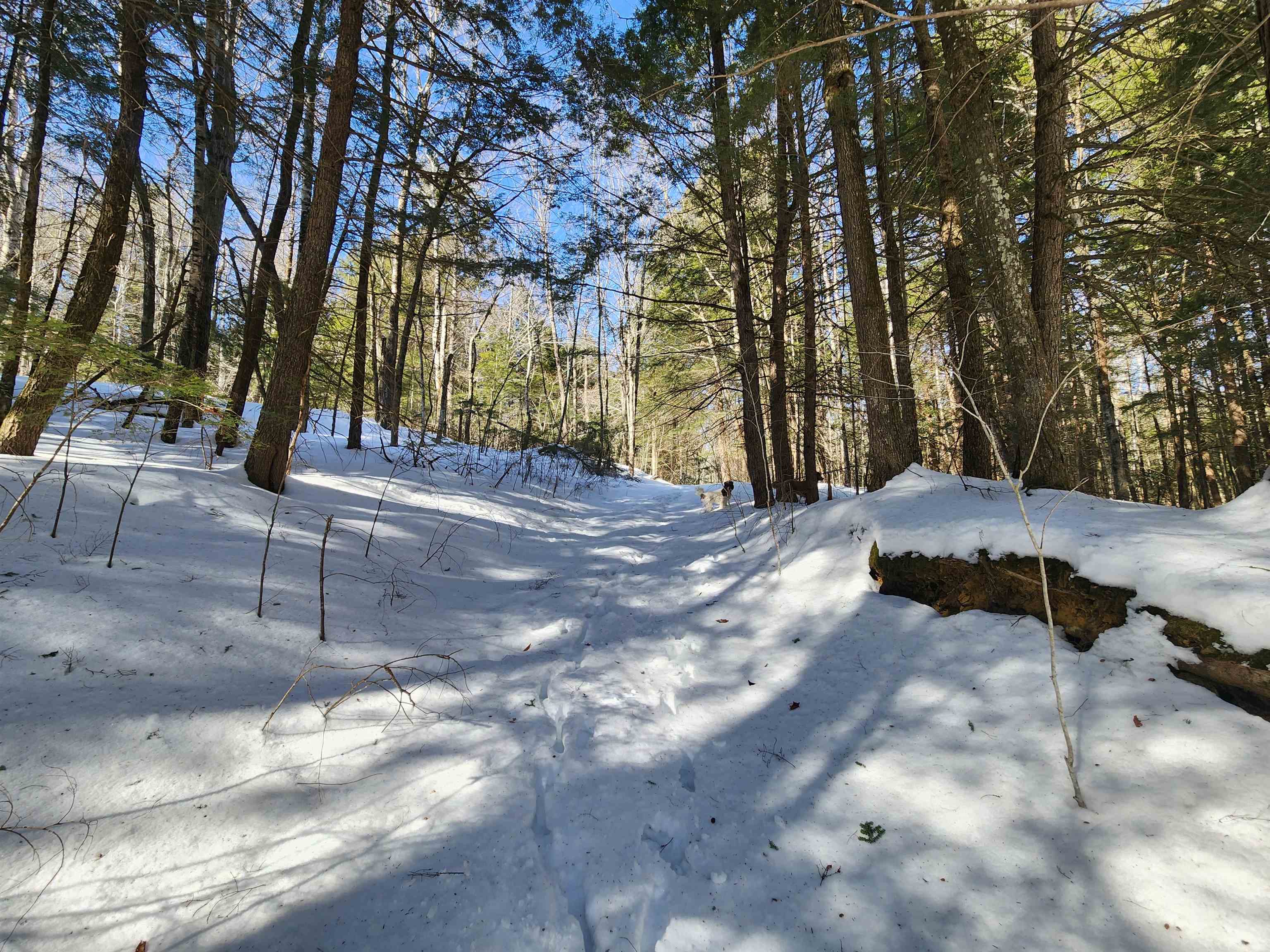 13 Calef Hill Road Tilton, NH 03276 - Photo 8 of 47