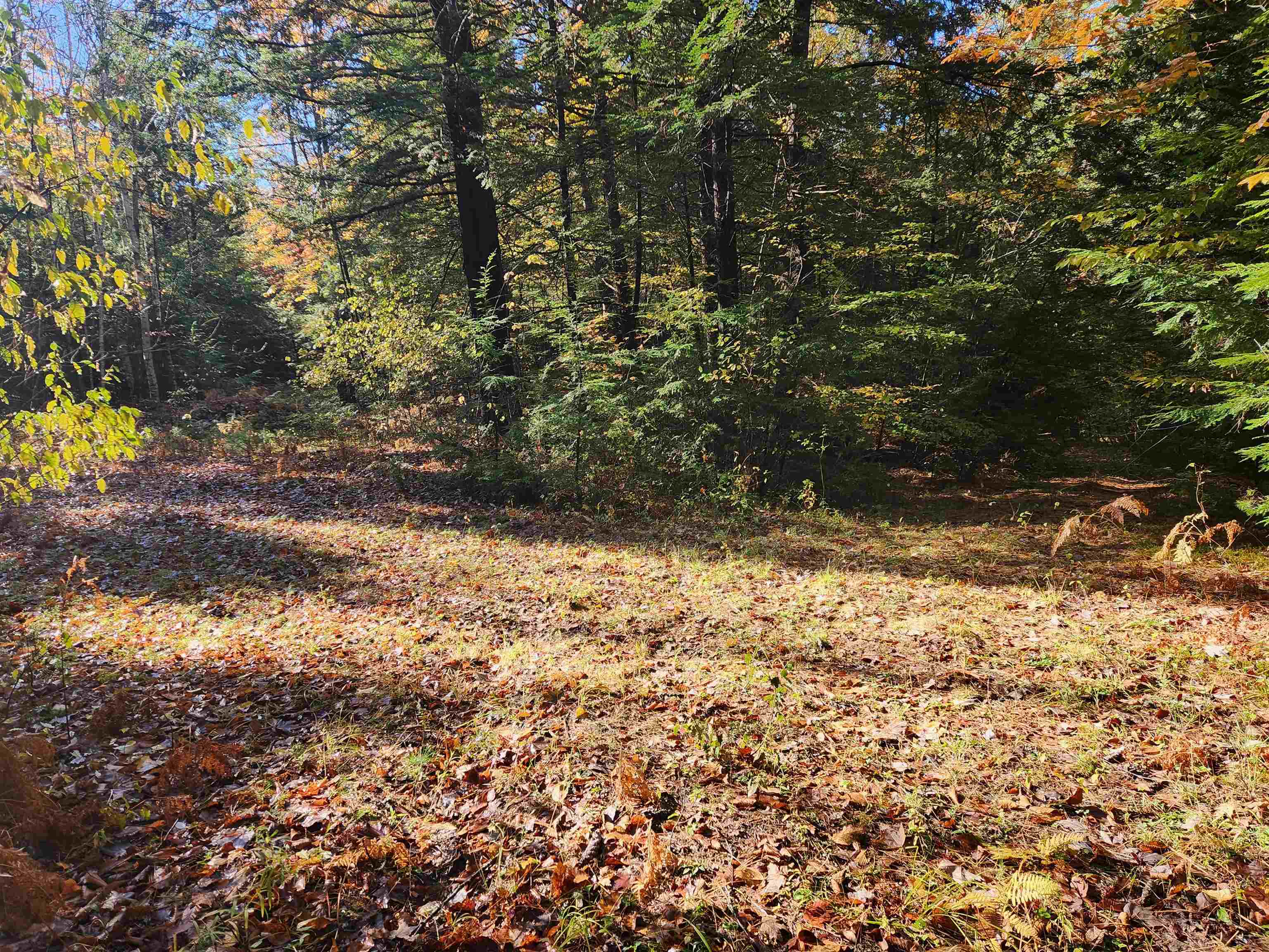 13 Calef Hill Road Tilton, NH 03276 - Photo 9 of 47