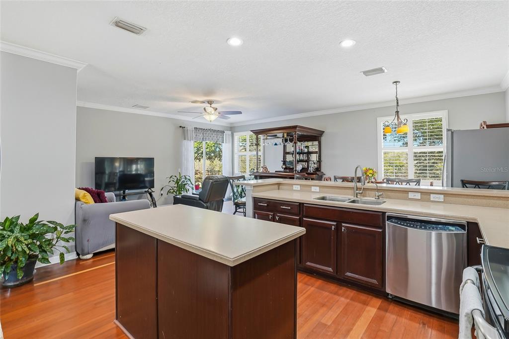 5713 Justicia Loop Land O' Lakes, FL 34639 - Photo 26 of 57