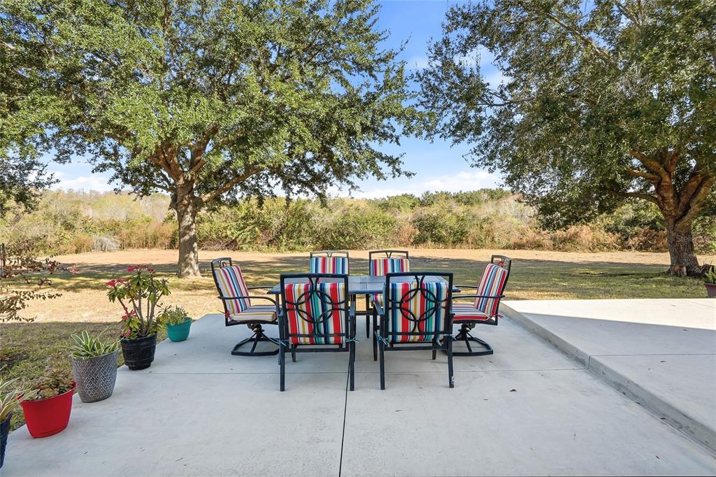 5713 Justicia Loop Land O' Lakes, FL 34639 - Photo 43 of 57