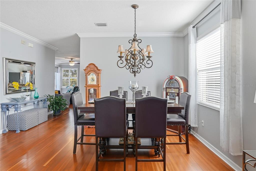 5713 Justicia Loop Land O' Lakes, FL 34639 - Photo 8 of 57