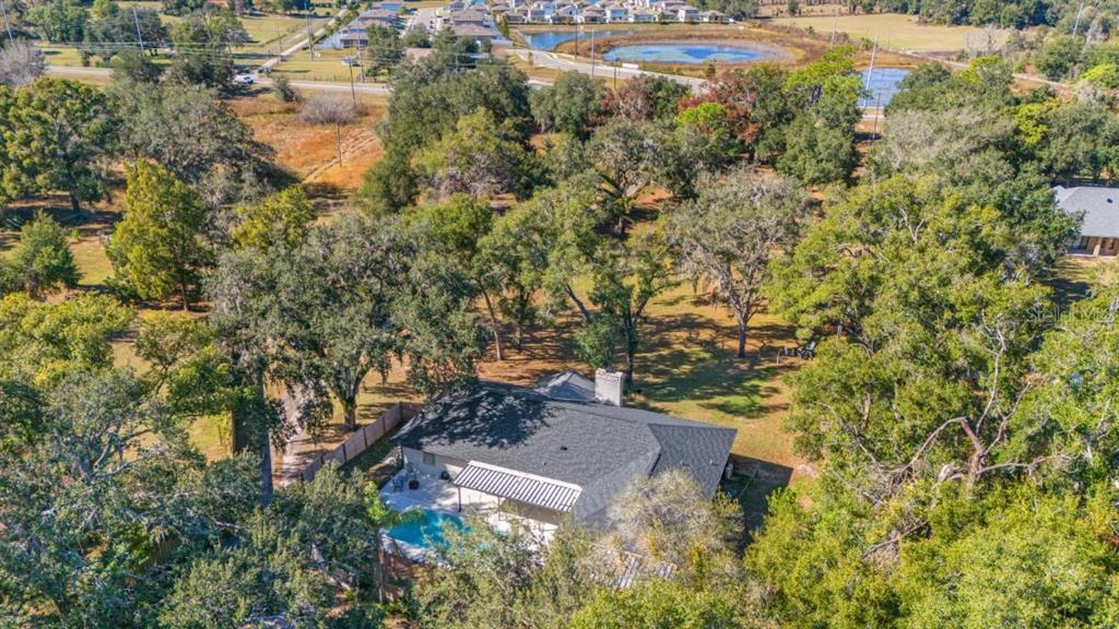 12414 Fort King Road Dade City, FL 33525 - Photo 55 of 60 Gallery Image 55