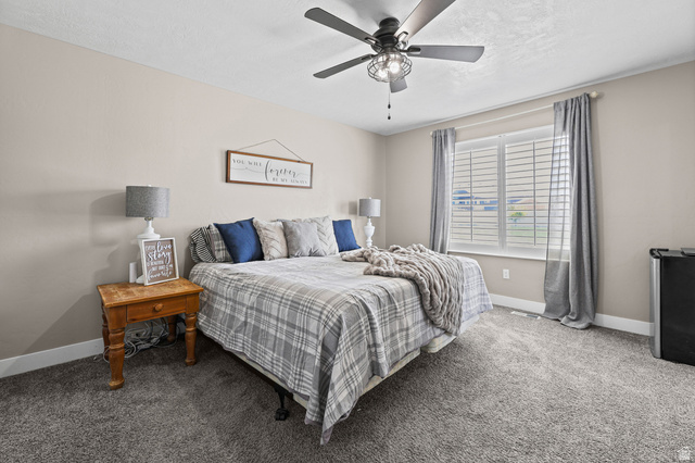 712 East Sunset View Road Grantsville, UT 84029 - Photo 18 of 44 Main level, bright Master bedroom