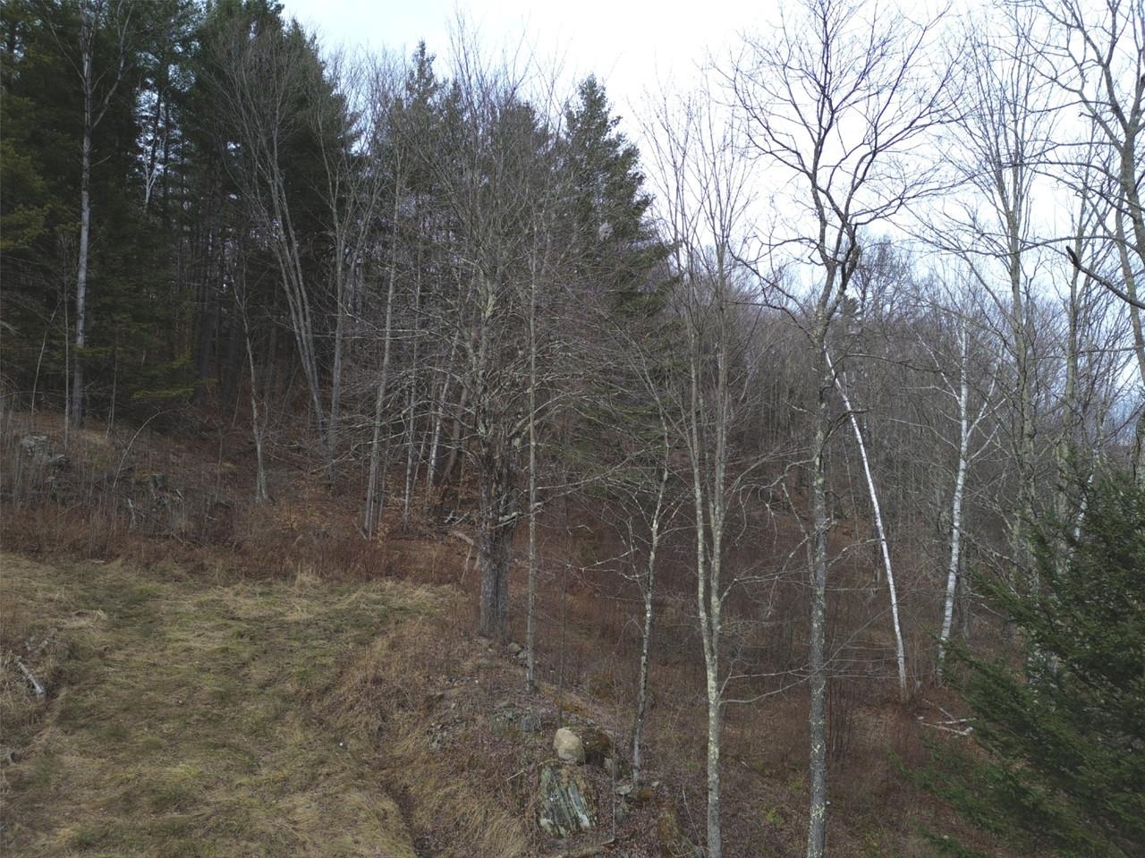 0 Bent Birch Way, Unit 3 Warren, VT 05674 - Photo 11 of 21