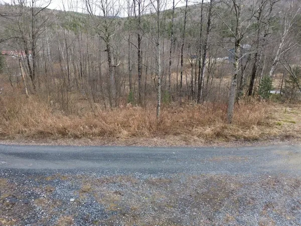 $175,000 | 0 Bent Birch Way, Unit 3, Warren, VT 05674