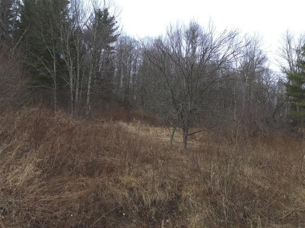 $175,000 | 0 Bent Birch Way, Unit 3, Warren, VT 05674