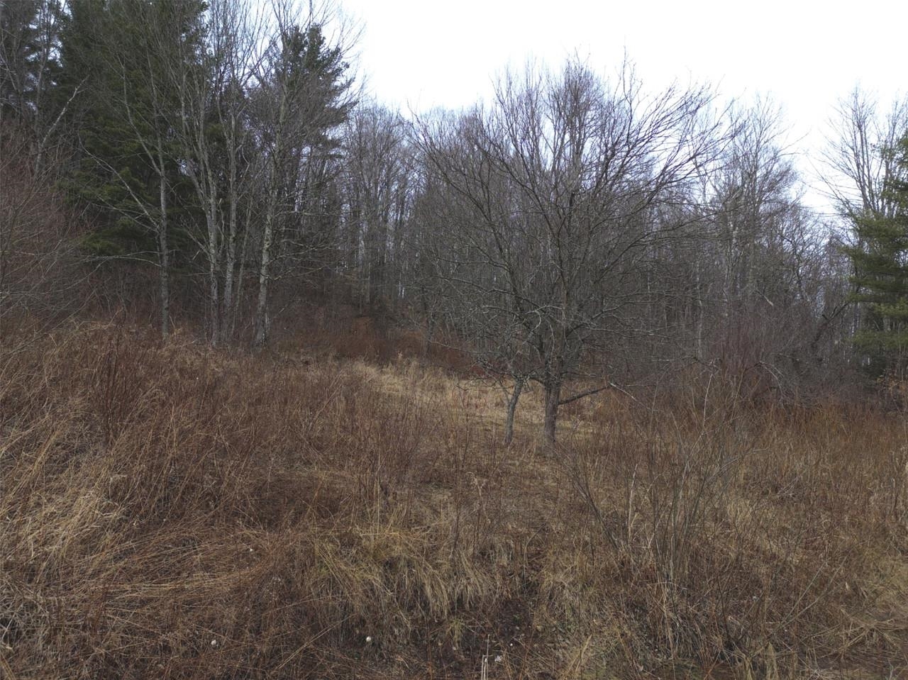 0 Bent Birch Way, Unit 3 Warren, VT 05674 - Photo 20 of 21