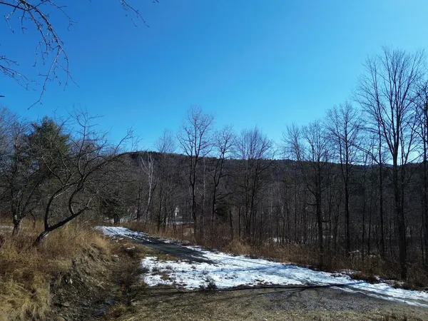$175,000 | 0 Bent Birch Way, Unit 3, Warren, VT 05674