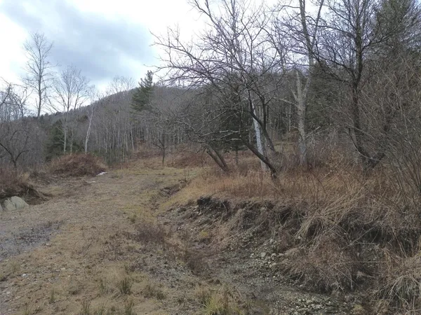 $175,000 | 0 Bent Birch Way, Unit 3, Warren, VT 05674
