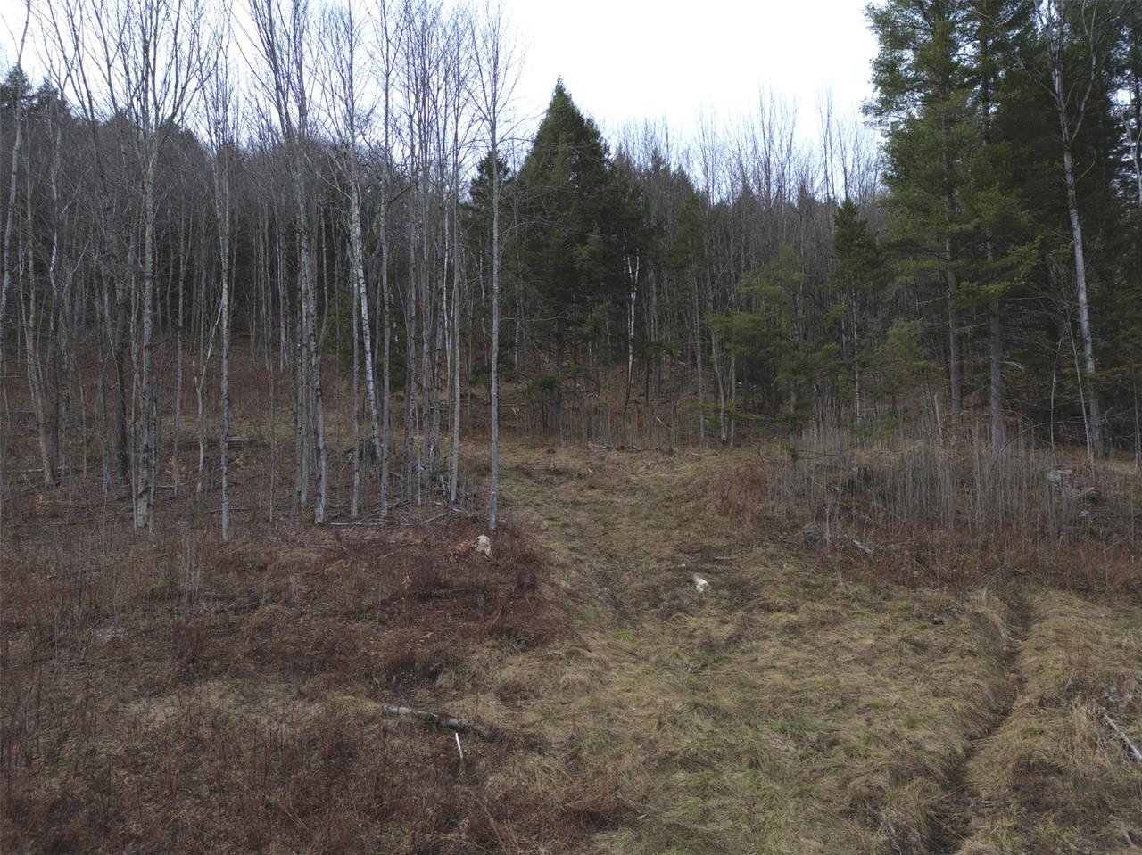 0 Bent Birch Way, Unit 3 Warren, VT 05674 - Photo 4 of 21