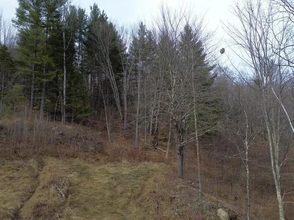 $175,000 | 0 Bent Birch Way, Unit 3, Warren, VT 05674