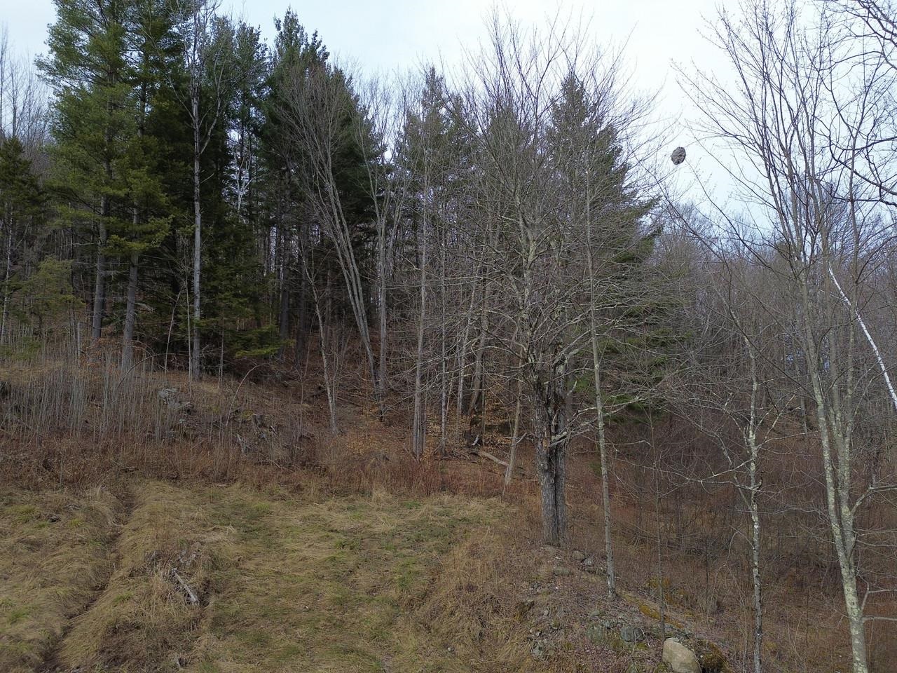 0 Bent Birch Way, Unit 3 Warren, VT 05674 - Photo 8 of 21