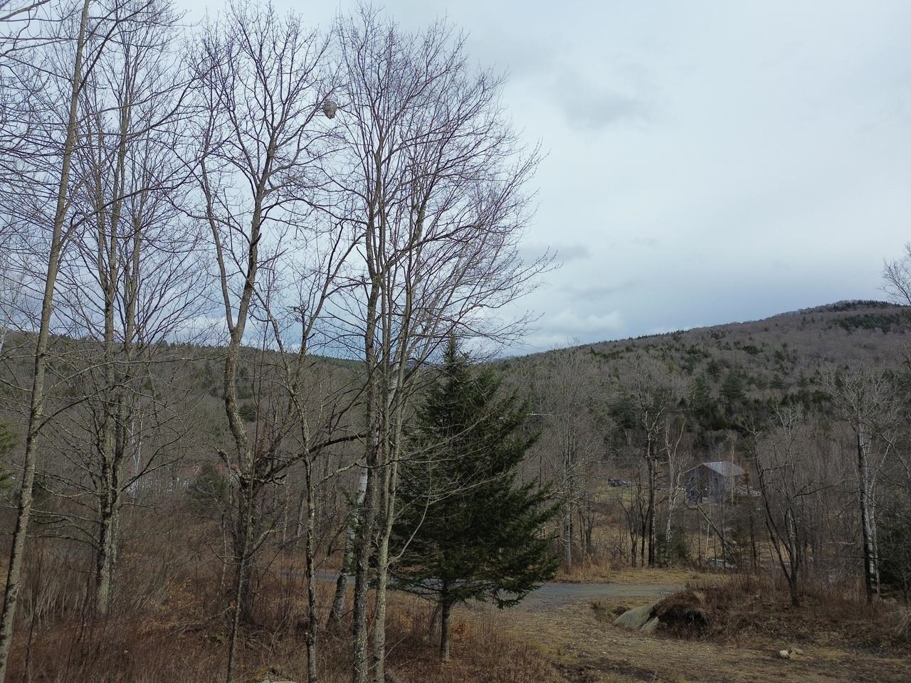 0 Bent Birch Way, Unit 3 Warren, VT 05674 - Photo 9 of 21