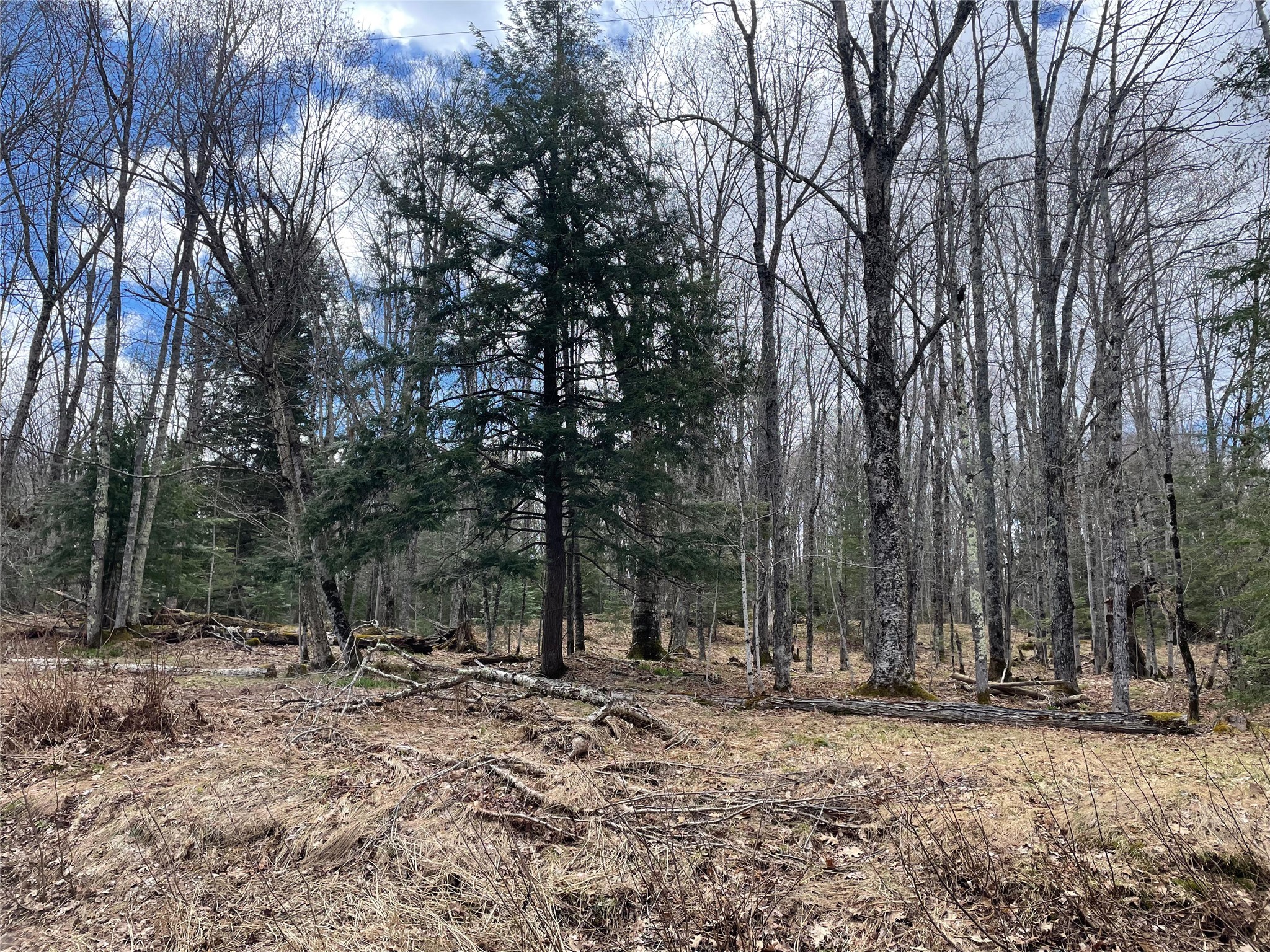 76096 Lake Galilee Road Mellen, WI 54546 - Photo 35 of 50