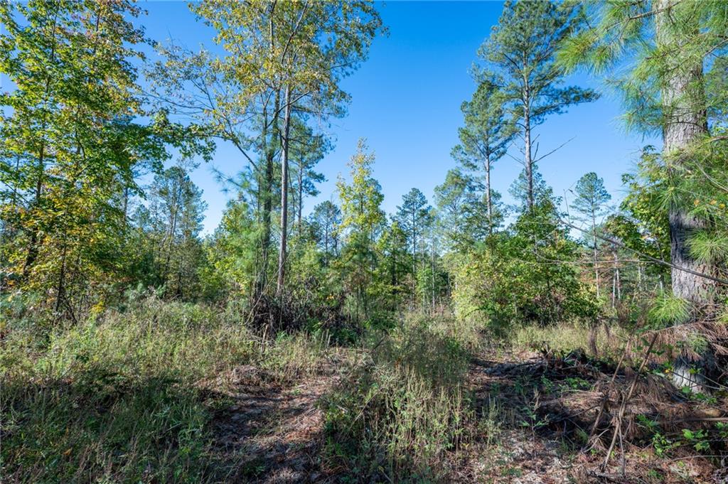 3863 Hwy 140 Ne Rydal Ga 30171 Northeast Rydal, GA 30171 - Photo 11 of 11 a view of a garden with a tree